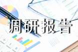 關于脫貧攻堅調研報告