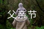 2017服裝店父親節營銷活動方案