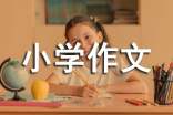 紅樓夢讀后感小學作文600字