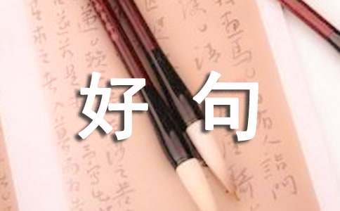 2026年簡短的人生感悟的好句(通用465句)